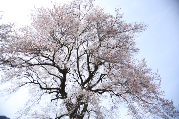 AG8C0520