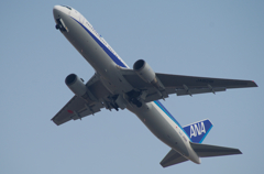 IMGP2874