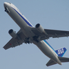 IMGP2874