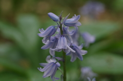 IMGP4160