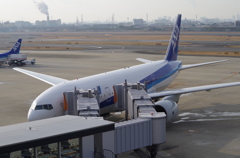 IMGP0300