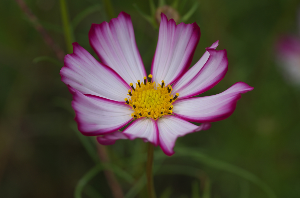 IMGP9035