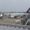 素朴な茨城空港２