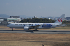 IMGP3262