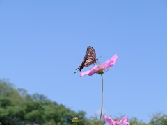IMGP3680