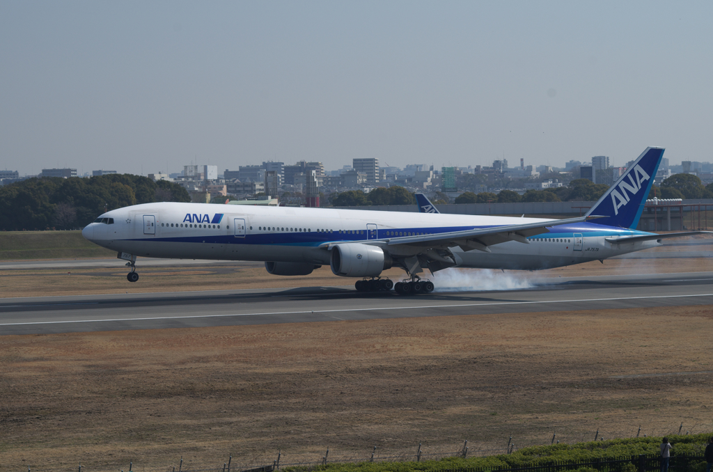IMGP3461