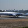 IMGP3461
