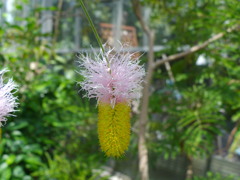 IMGP1329