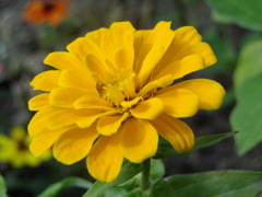 IMGP4773