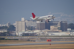 IMGP0417