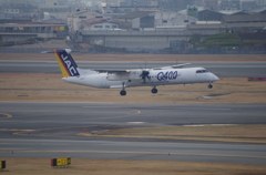 IMGP0471