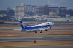IMGP0629