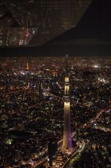 Tokyo Sky Tree -　雅
