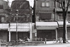 渋谷