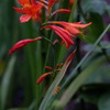DSCF5303