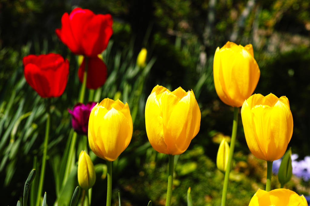 お揃いで・・。