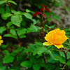 SDIM0576