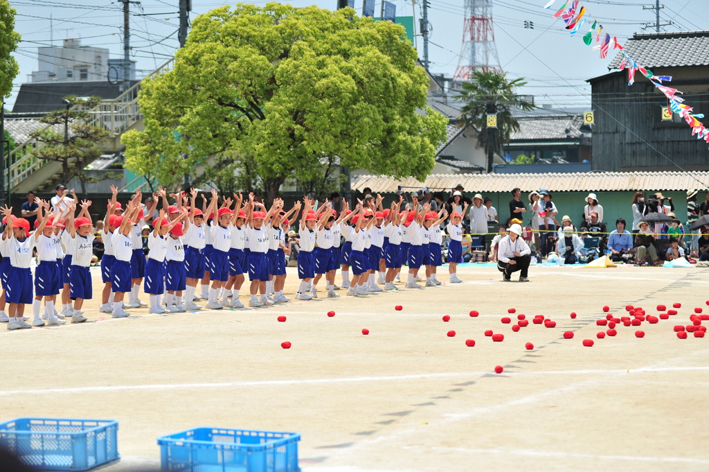 玉入れ