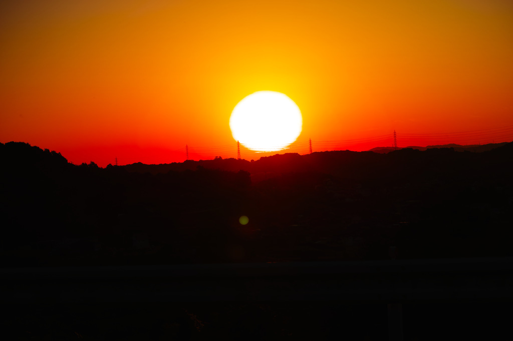 朝日に映ゆる