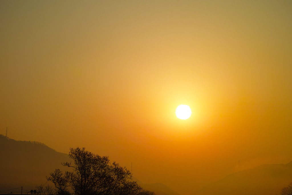 朝から目に染みる