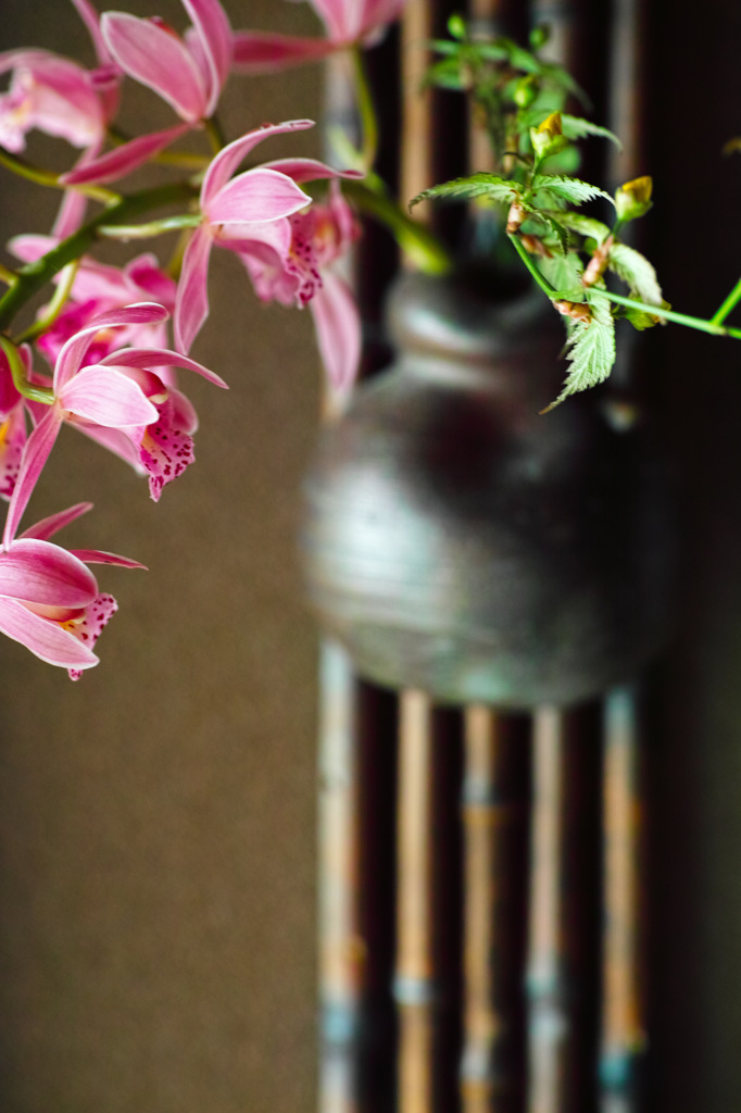 玄関もちょっと春