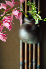 玄関もちょっと春