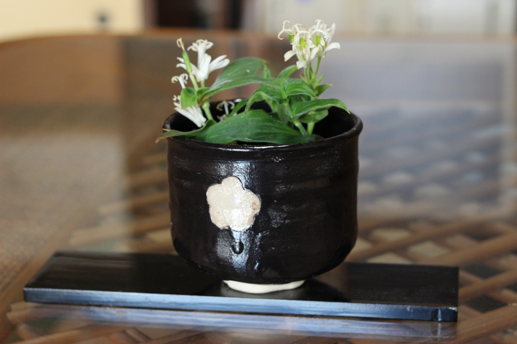 お抹茶茶碗にお花を