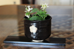 お抹茶茶碗にお花を