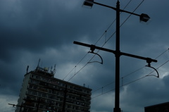 梅雨空に伸びる