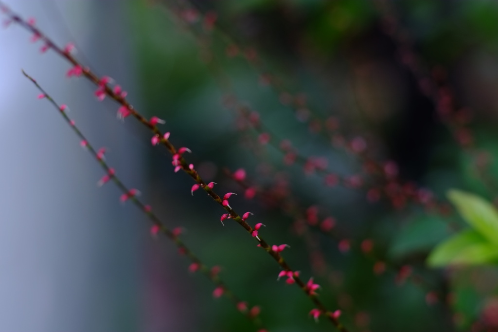 秋の光