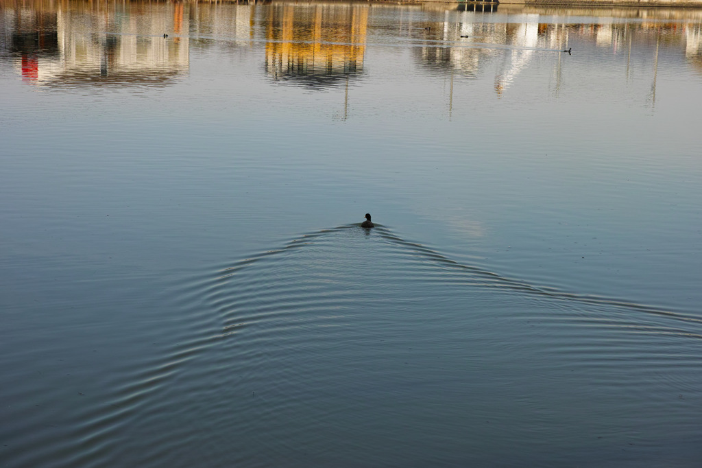 行ってきます。