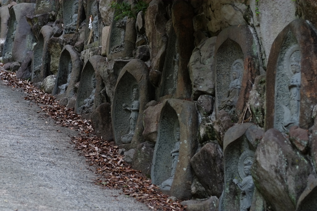 安養寺にあじさいをみにいってきました11