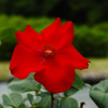 SDIM0568