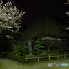 円通寺の夜桜