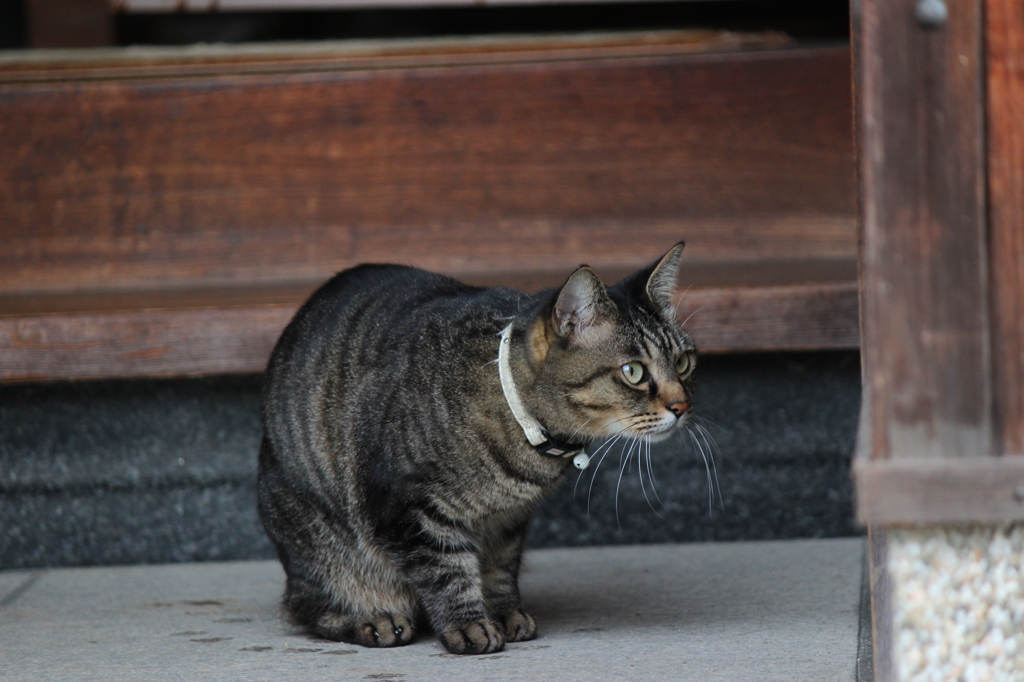 何を見つけたのかな