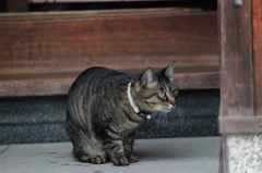 何を見つけたのかな