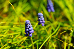 もう開いてもいいよ