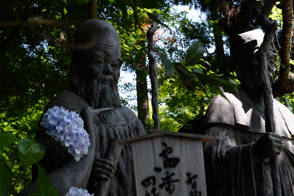 安養寺にあじさいをみにいってきました19