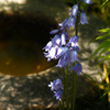 SDIM0842