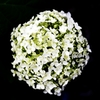 花花火?