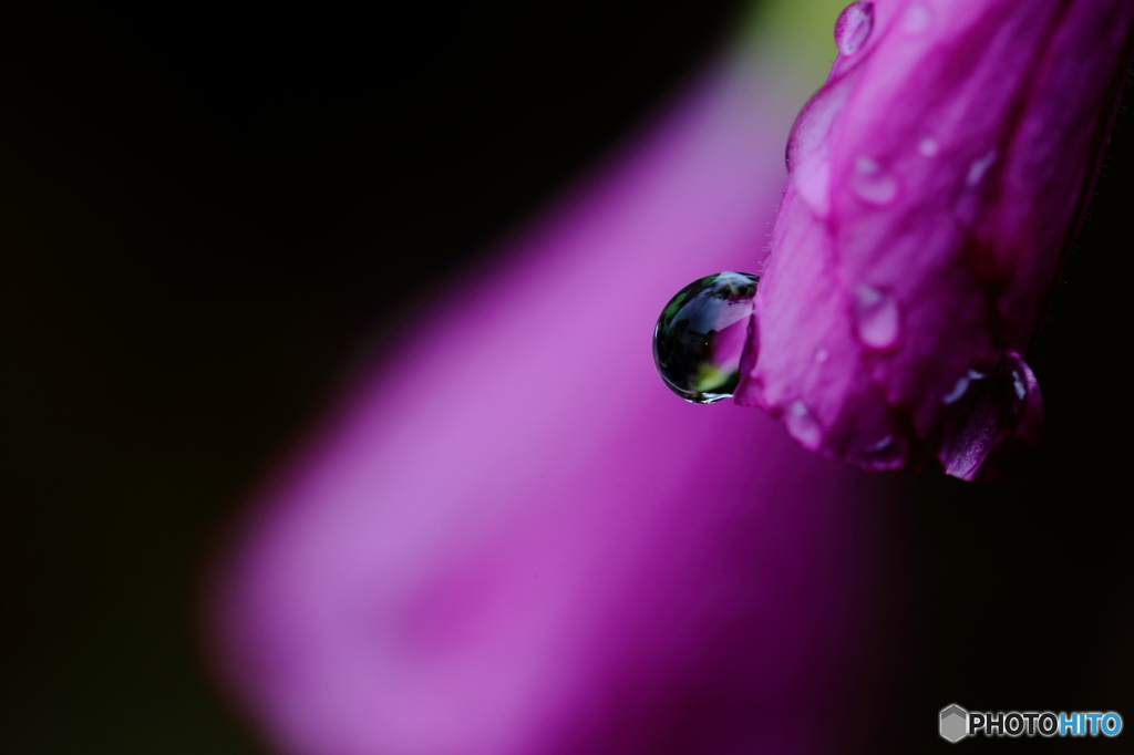 水滴