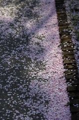 花のあと