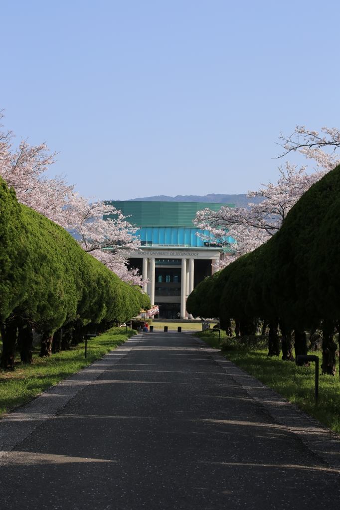 高知工科大学