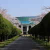 高知工科大学