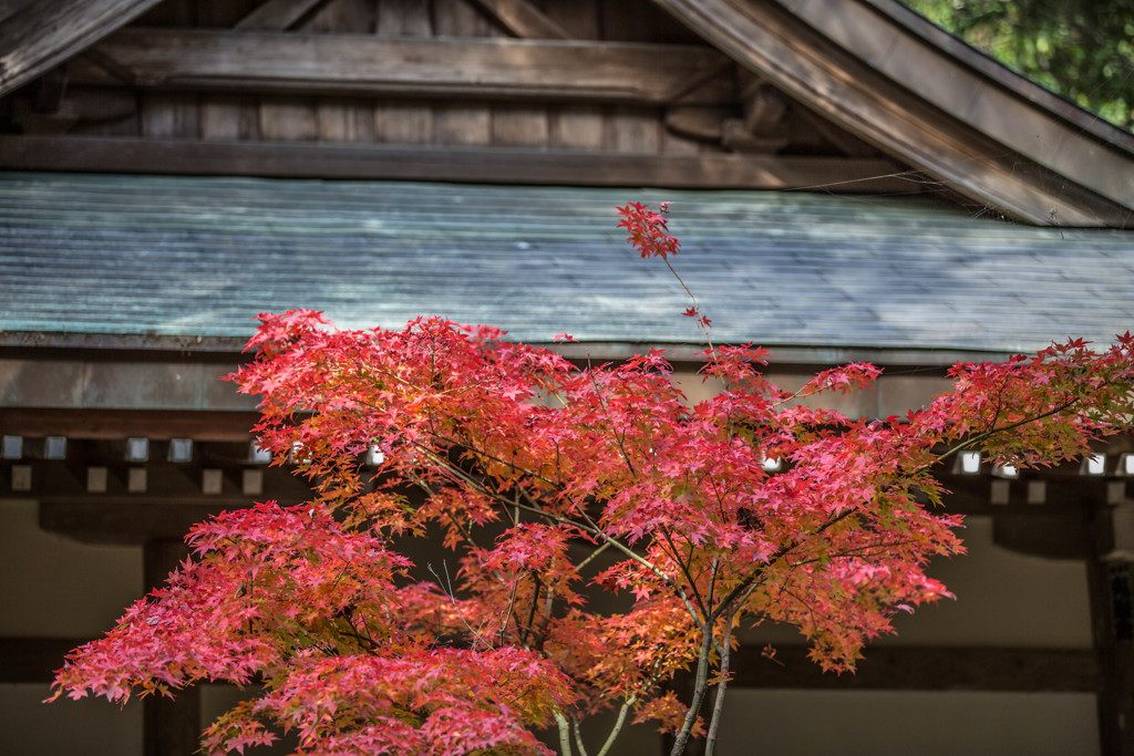 竹林寺
