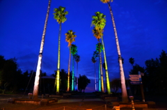 COLORS