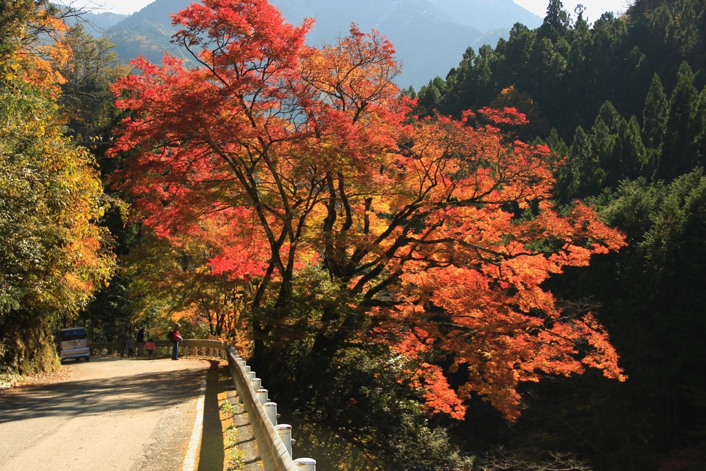 べふ峡