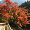 べふ峡