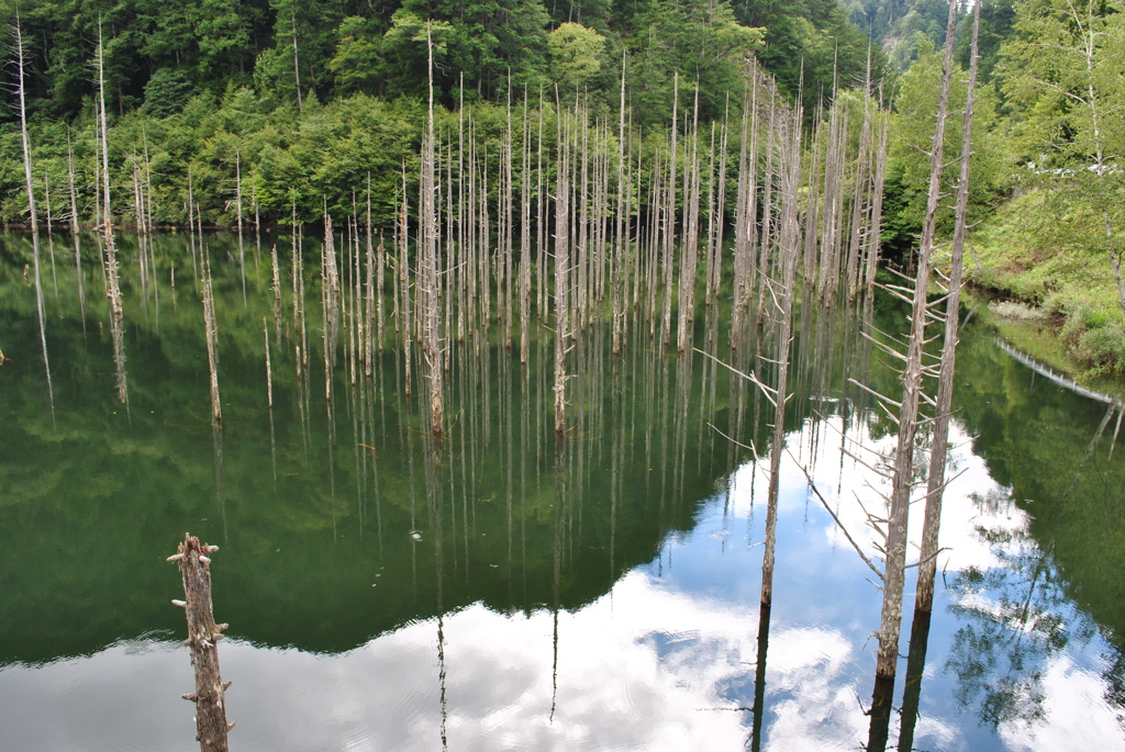 自然湖