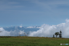 双子山山頂